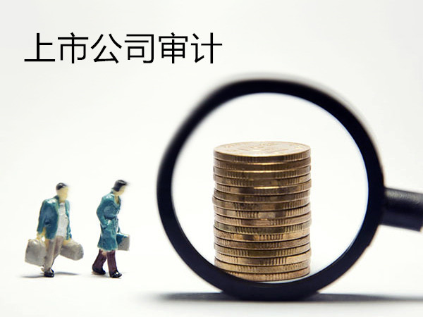 上市公司審計.jpg 上市公司審計.jpg